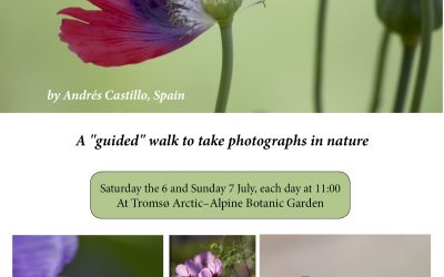 Plants and Landscape Photography Workshop, Norway